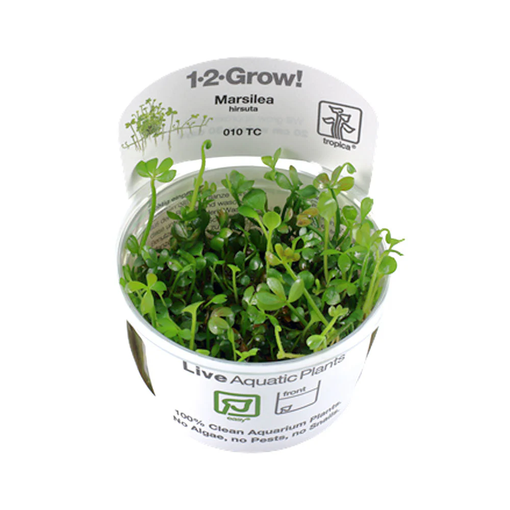 Tropica Live Aquarium Plants / Substrates