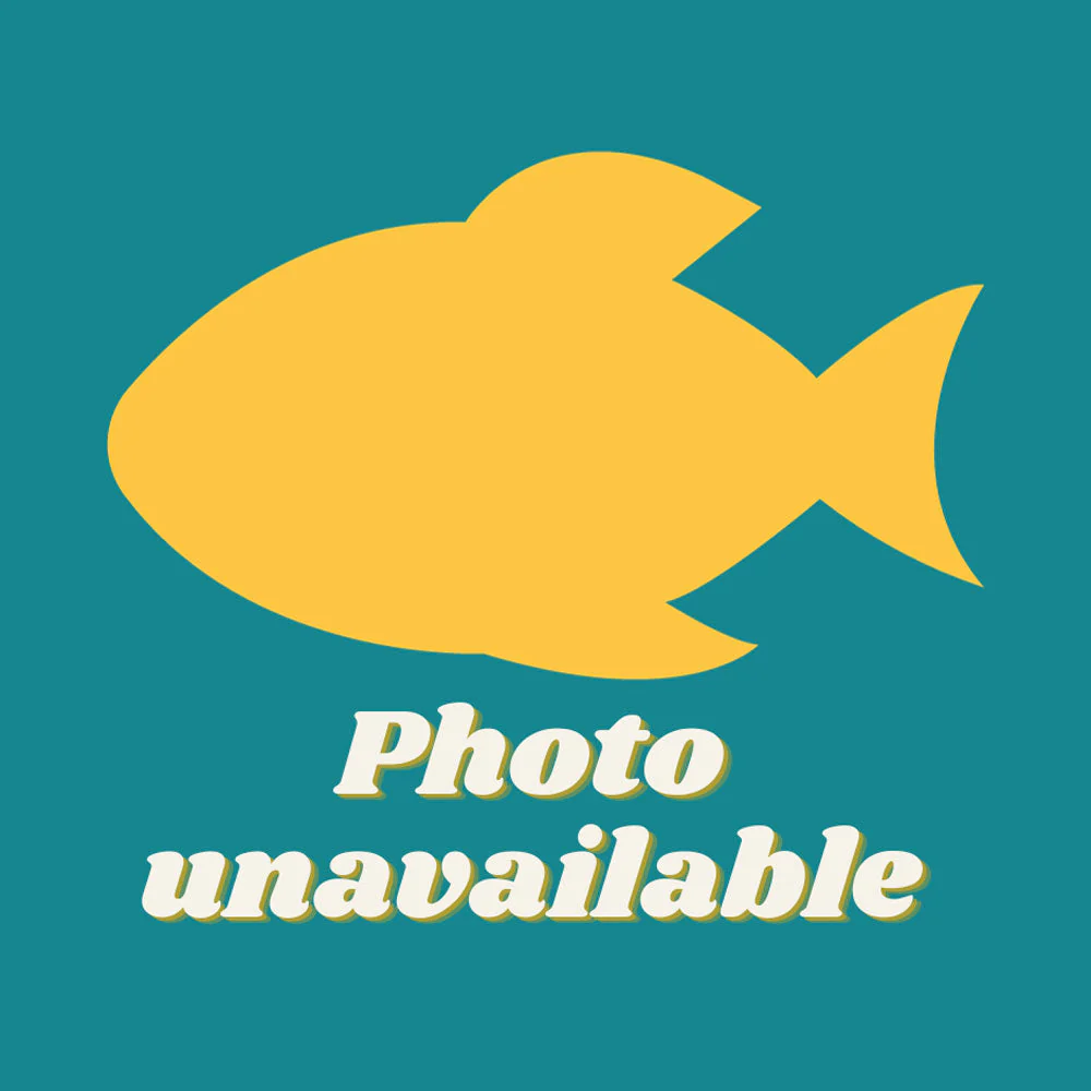 Wholesale